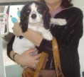 /album/galeria-de-fotos-pagina-inicial/a25maggie-jpg/