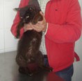/album/galeria-de-fotos-pagina-inicial/a26gaspar-jpg/